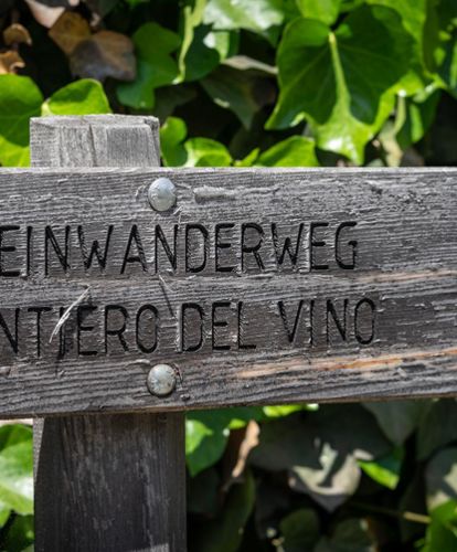 Weinwanderweg